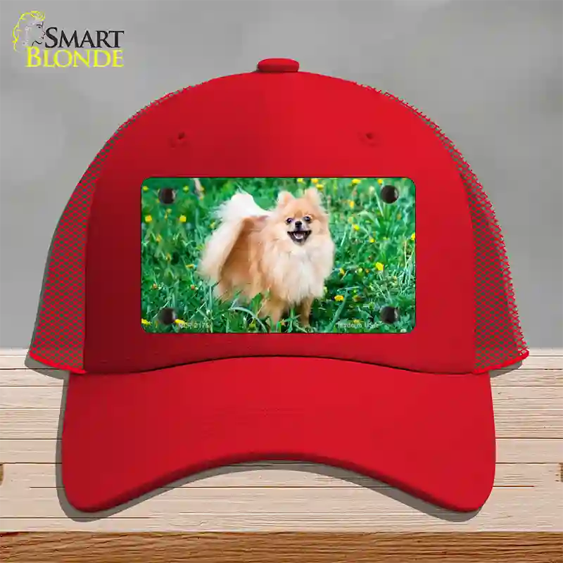 Pomeranian Dog Novelty License Plate Hat Mesh / Red