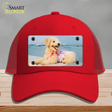 Poodle Dog Novelty License Plate Hat Mesh / Red