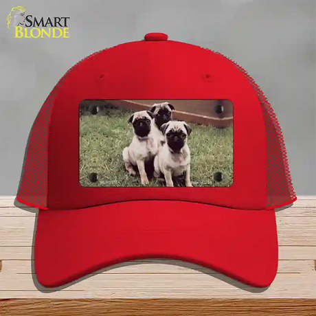 Pug Dog Novelty License Plate Hat Mesh / Red