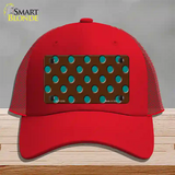 Teal Polka Dots Brown Novelty License Plate Hat Mesh / Red