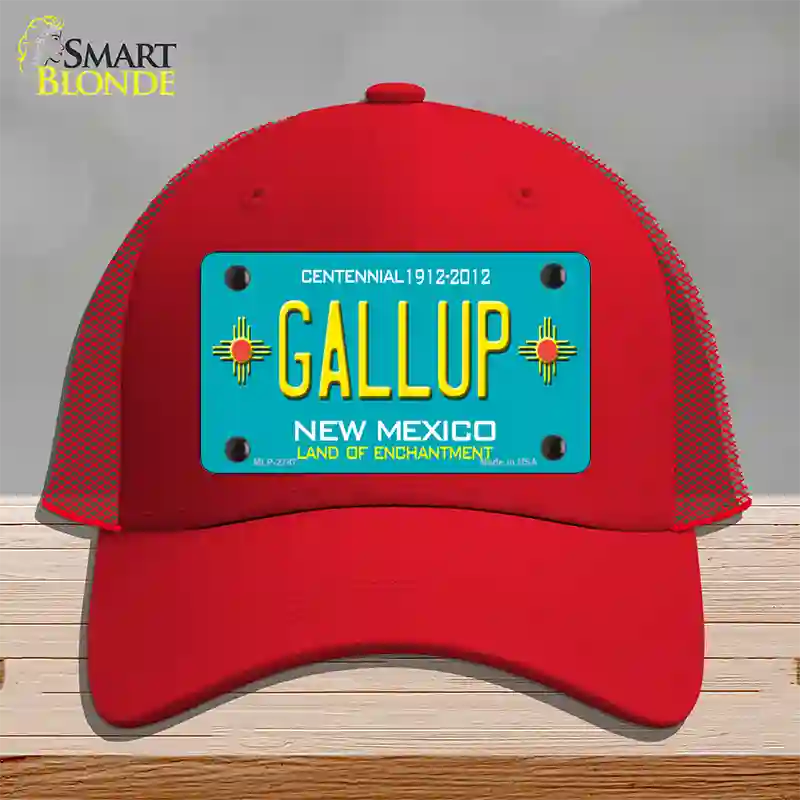 Gallup New Mexico Teal Novelty License Plate Hat Mesh / Red