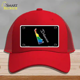 Delaware Rainbow Novelty License Plate Hat Mesh / Red