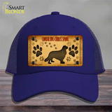 Cavalier King Charles Spaniel Novelty License Plate Hat Mesh / Royal Blue