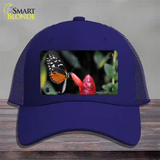 Butterfly On Red Flower Novelty License Plate Hat Mesh / Royal Blue