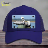 Pelican Two On Pier Novelty License Plate Hat Mesh / Royal Blue