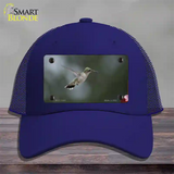 Hummingbird In Flight Novelty License Plate Hat Mesh / Royal Blue