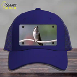 Hummingbird Perched On Branch Novelty License Plate Hat Mesh / Royal Blue