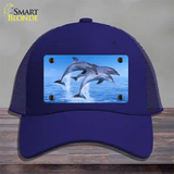 Dolphins Novelty License Plate Hat Mesh / Royal Blue