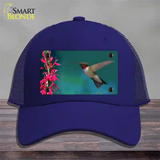 Humming Bird Novelty License Plate Hat Mesh / Royal Blue