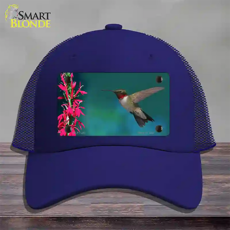 Humming Bird Novelty License Plate Hat Mesh / Royal Blue