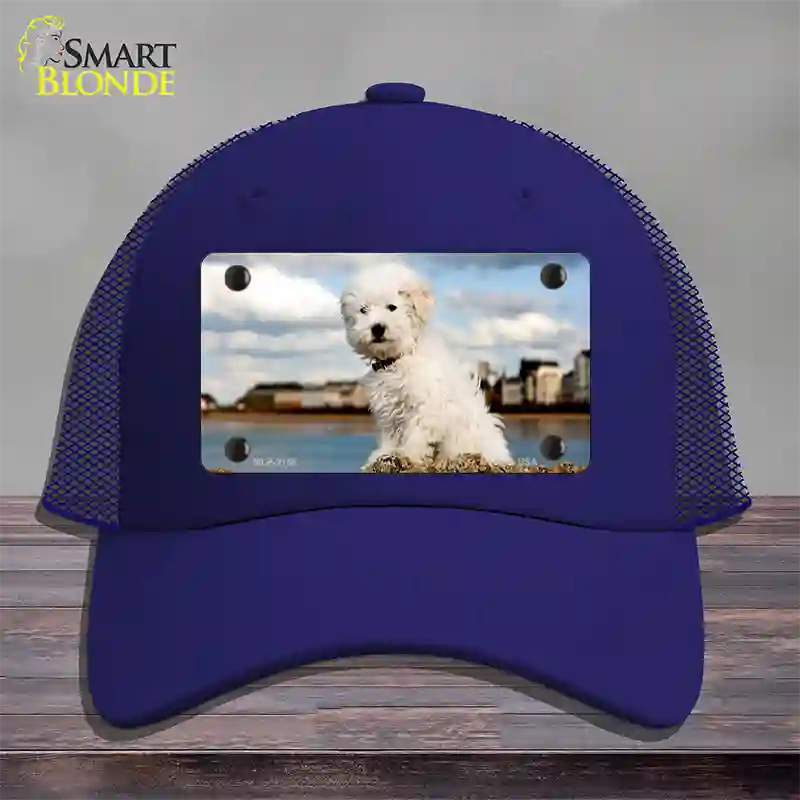 Bichon Frise Dog Novelty License Plate Hat Mesh / Royal Blue