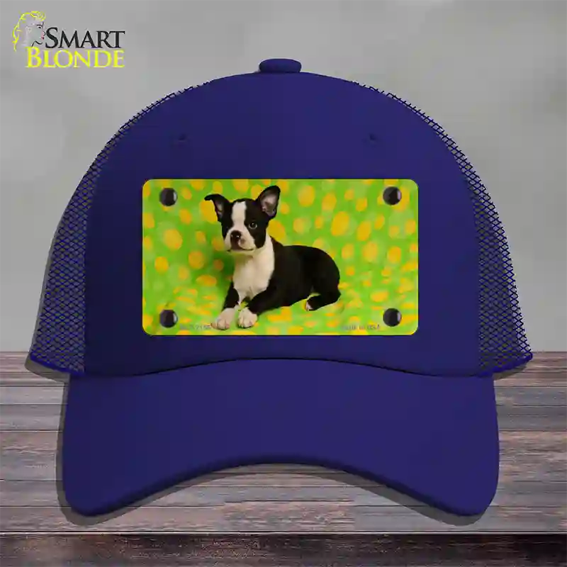 Boston Terrier Dog Novelty License Plate Hat Mesh / Royal Blue