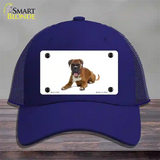 Boxer Dog Novelty License Plate Hat Mesh / Royal Blue