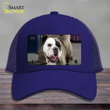 Bulldog Dog Novelty License Plate Hat Mesh / Royal Blue