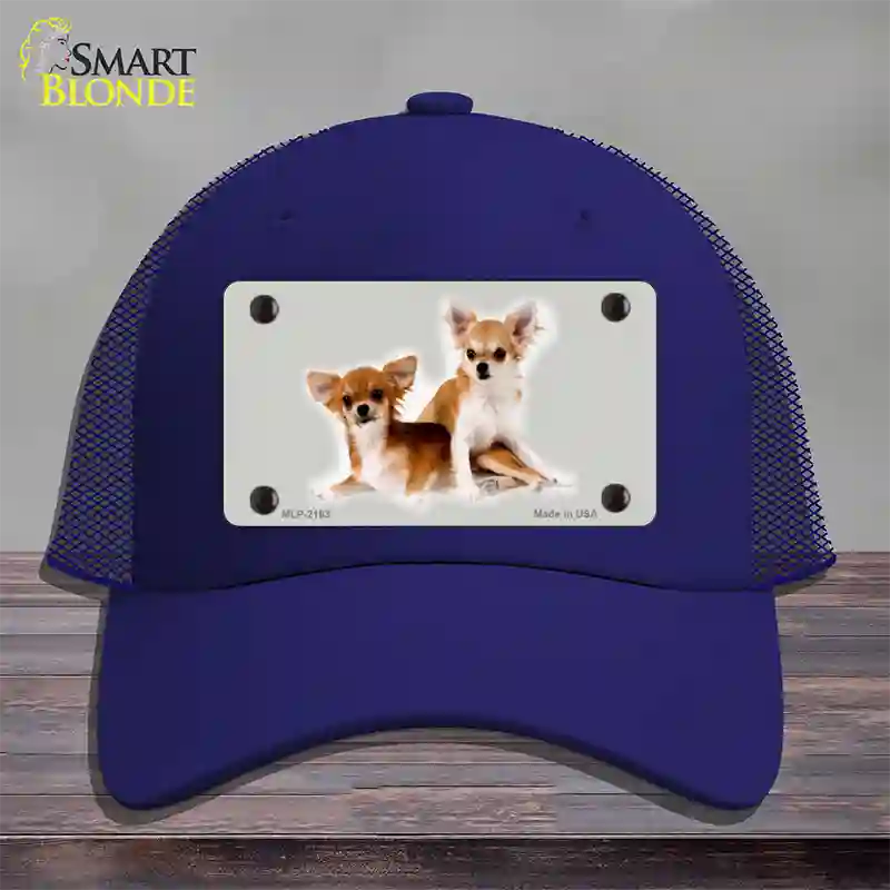 Chihuahua Dog Novelty License Plate Hat Mesh / Royal Blue