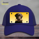 Chocolate Labrador Retriever Dog Novelty License Plate Hat Mesh / Royal Blue