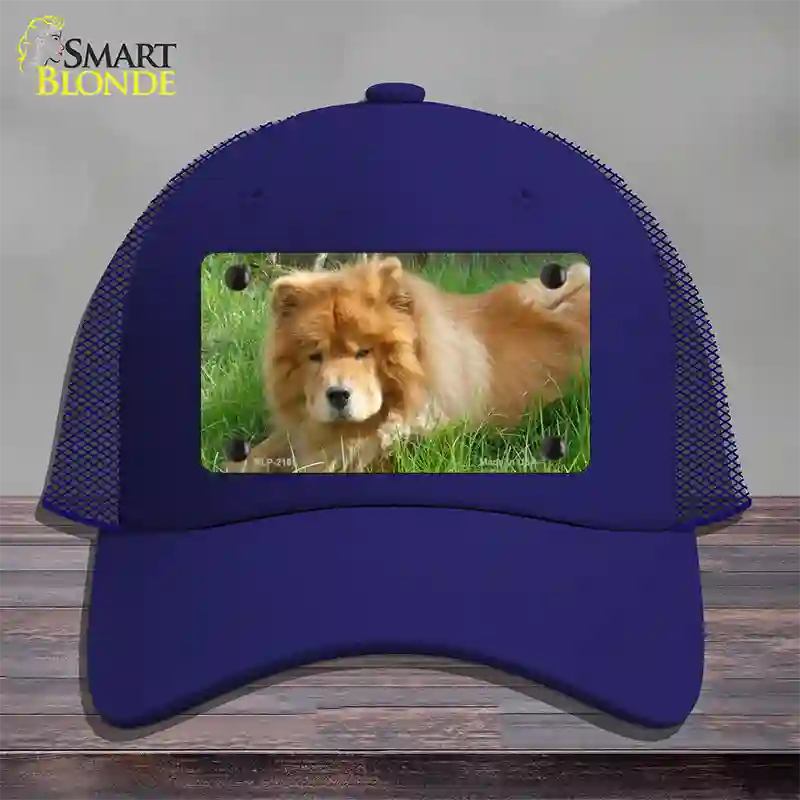 Chow Chow Dog Novelty License Plate Hat Mesh / Royal Blue