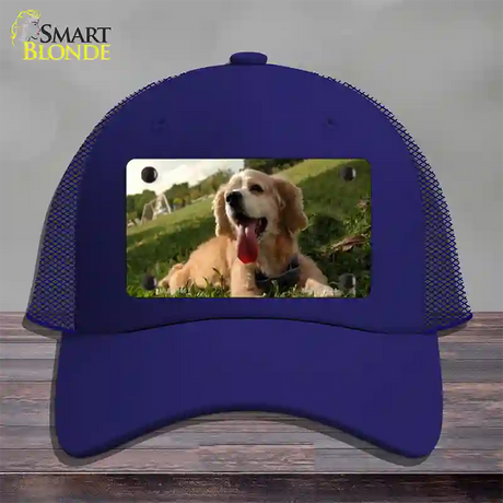 Cocker Spaniel Dog Novelty License Plate Hat Mesh / Royal Blue