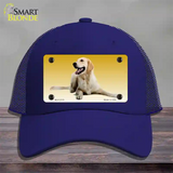 Golden Retriever Dog Novelty License Plate Hat Mesh / Royal Blue