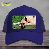 Great Dane Dog Novelty License Plate Hat Mesh / Royal Blue