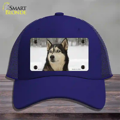 Husky Dog Novelty License Plate Hat Mesh / Royal Blue