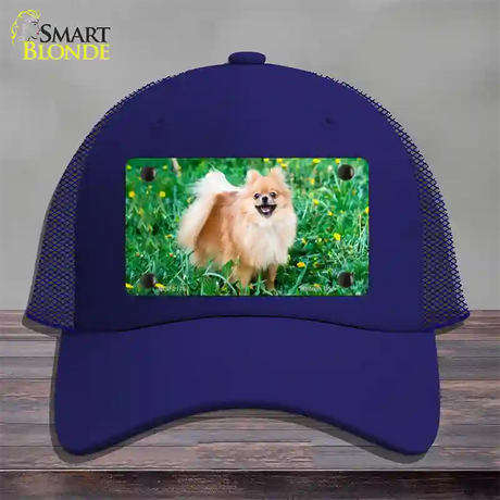 Pomeranian Dog Novelty License Plate Hat Mesh / Royal Blue