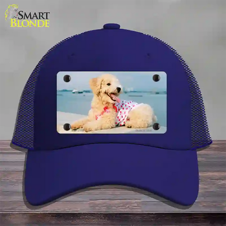 Poodle Dog Novelty License Plate Hat Mesh / Royal Blue