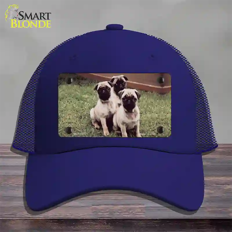 Pug Dog Novelty License Plate Hat Mesh / Royal Blue