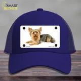 Yorkshire Terrier Dog Novelty License Plate Hat Mesh / Royal Blue