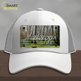 Mississippi Swamp State Novelty License Plate Hat Mesh / White