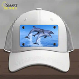 Dolphins Novelty License Plate Hat Mesh / White