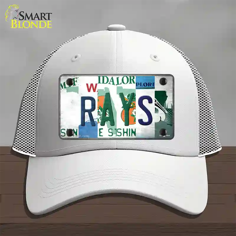 Rays Strip Art Novelty License Plate Hat Tag Mesh / White