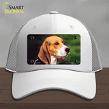 Beagle Dog Novelty License Plate Hat Mesh / White