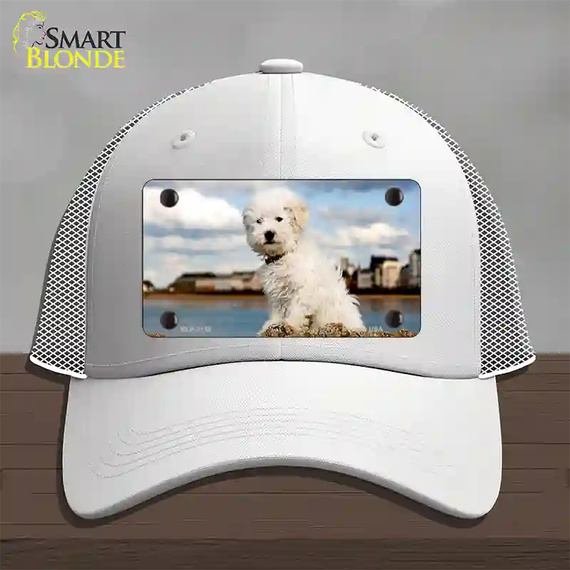 Bichon Frise Dog Novelty License Plate Hat Mesh / White