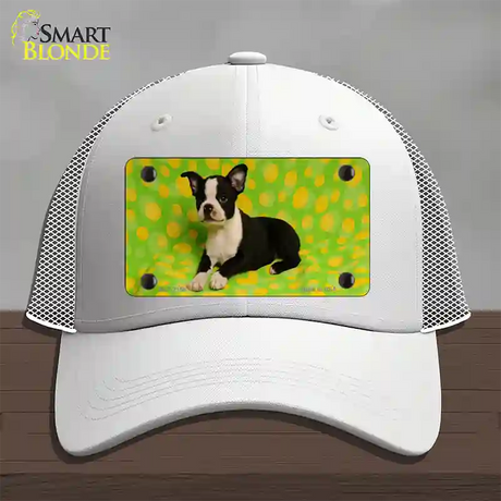 Boston Terrier Dog Novelty License Plate Hat Mesh / White