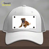 Boxer Dog Novelty License Plate Hat Mesh / White