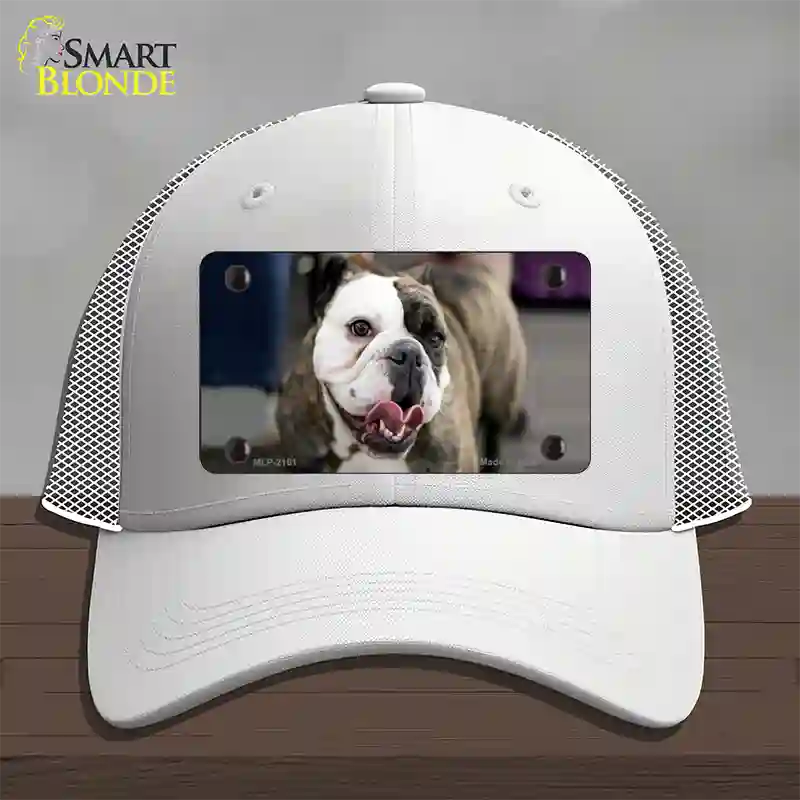 Bulldog Dog Novelty License Plate Hat Mesh / White