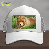 Chow Chow Dog Novelty License Plate Hat Mesh / White