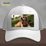 Cocker Spaniel Dog Novelty License Plate Hat Mesh / White