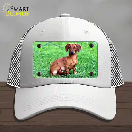 Dachshund Dog Novelty License Plate Hat Mesh / White