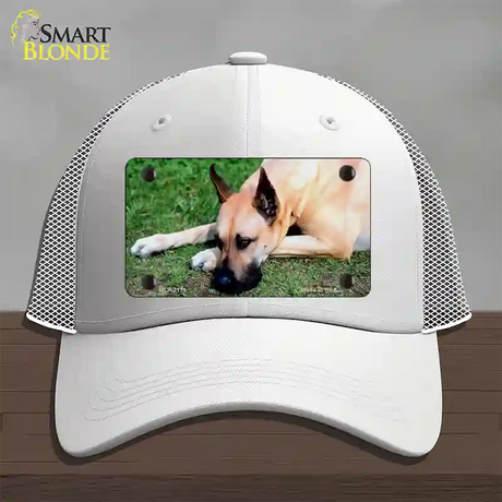 Great Dane Dog Novelty License Plate Hat Mesh / White