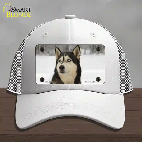 Husky Dog Novelty License Plate Hat Mesh / White