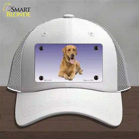 Yellow Labrador Retriever Dog Novelty License Plate Hat Mesh / White