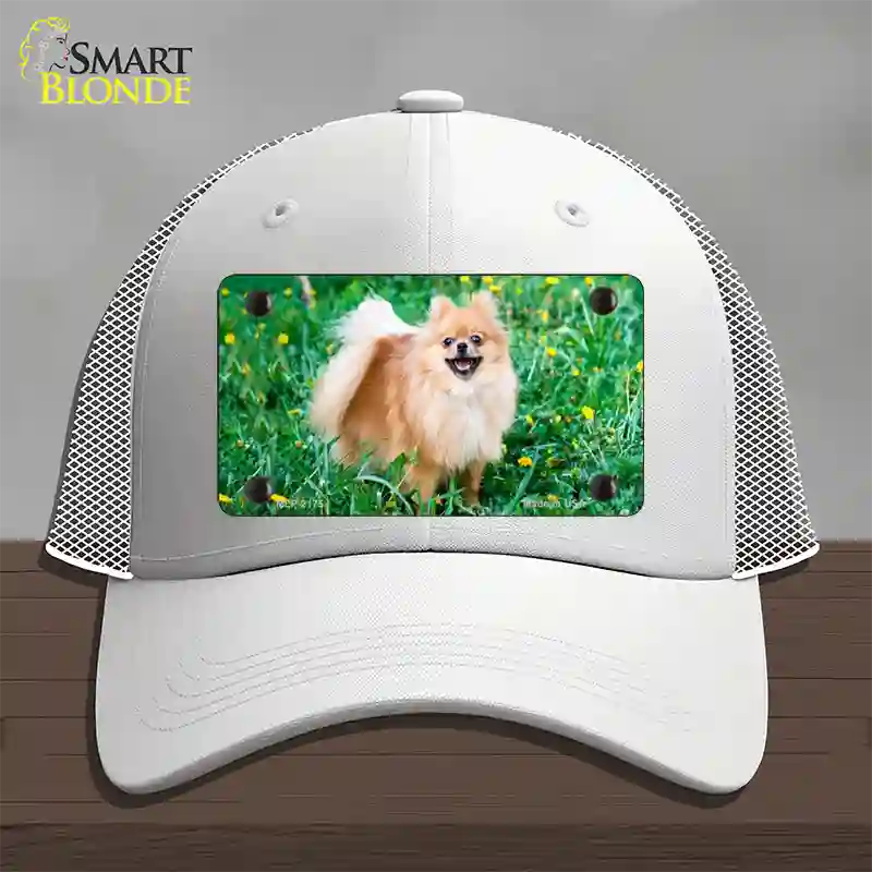 Pomeranian Dog Novelty License Plate Hat Mesh / White