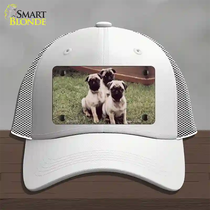 Pug Dog Novelty License Plate Hat Mesh / White