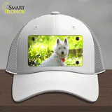 West Highland Dog Terrier Novelty License Plate Hat Mesh / White