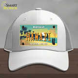 Hawaii Pineapple Novelty License Plate Hat Mesh / White