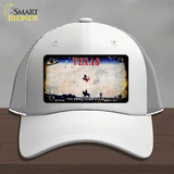 Texas Rusty Blank Novelty License Plate Hat Mesh / White