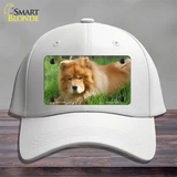 Chow Chow Dog Novelty License Plate Hat Cotton / White