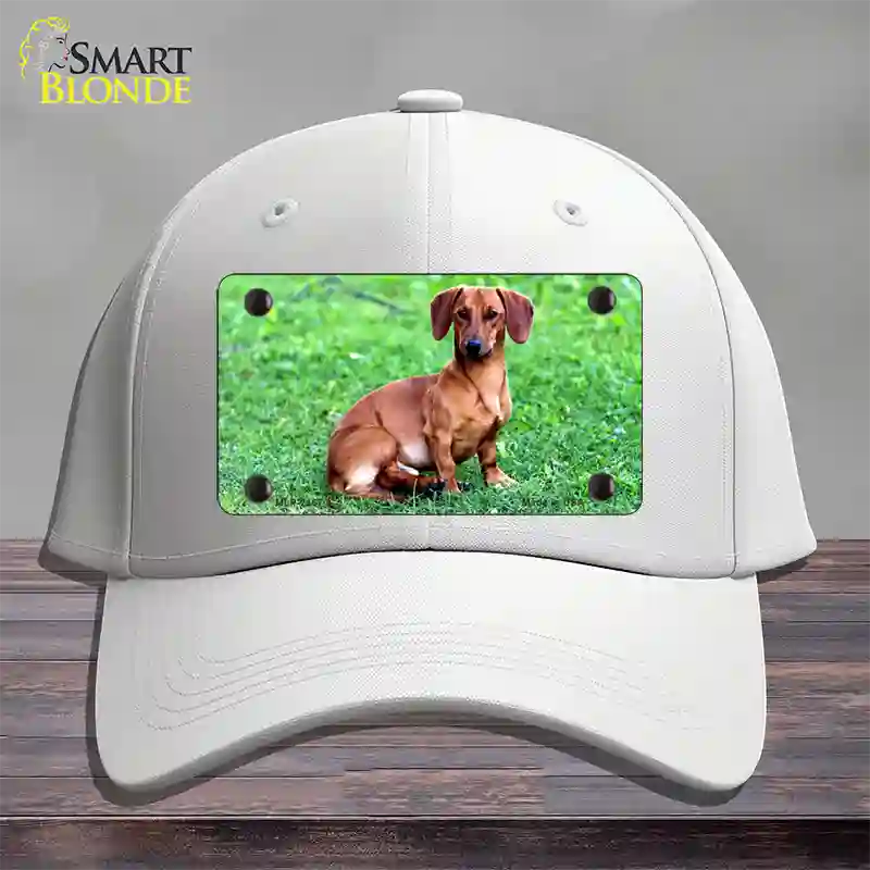 Dachshund Dog Novelty License Plate Hat Cotton / White